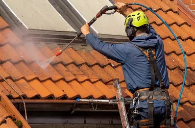 Démoussage et hydrofuge de toiture à Frontenex